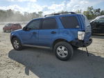 2009 Ford Escape Xlt Blue vin: 1FMCU93G39KC46374