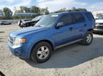 2009 Ford Escape Xlt Blue vin: 1FMCU93G39KC46374