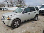 2009 Ford Escape Xlt Beige vin: 1FMCU93G39KC49775