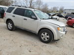 2009 Ford Escape Xlt Beige vin: 1FMCU93G39KC49775