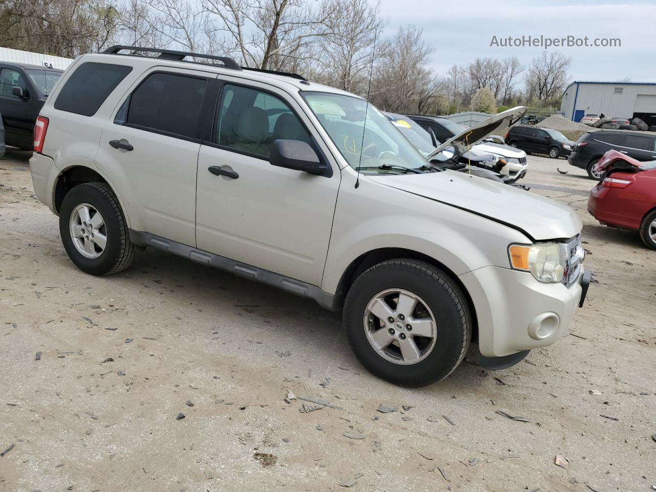 2009 Ford Escape Xlt Бежевый vin: 1FMCU93G39KC49775