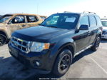 2009 Ford Escape Xlt Black vin: 1FMCU93G39KC66091