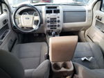 2009 Ford Escape Xlt Gray vin: 1FMCU93G39KD10171