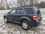 2009 Ford Escape Xlt Gray vin: 1FMCU93G39KD10171