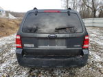 2009 Ford Escape Xlt Gray vin: 1FMCU93G39KD10171