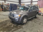 2009 Ford Escape Xlt Gray vin: 1FMCU93G49KA09800