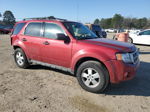 2009 Ford Escape Xlt Red vin: 1FMCU93G49KA52470