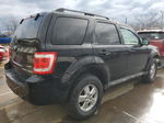 2009 Ford Escape Xlt Black vin: 1FMCU93G49KB53721