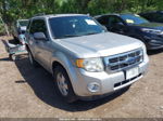 2009 Ford Escape Xlt Silver vin: 1FMCU93G49KC56749