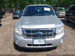 2009 Ford Escape Xlt Silver vin: 1FMCU93G49KC56749