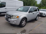 2009 Ford Escape Xlt Gray vin: 1FMCU93G59KB20968