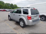 2009 Ford Escape Xlt Gray vin: 1FMCU93G59KB20968