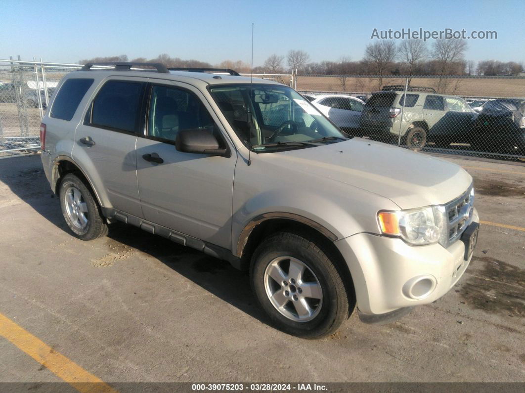 2009 Ford Escape Xlt Cream vin: 1FMCU93G59KB54022