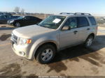 2009 Ford Escape Xlt Cream vin: 1FMCU93G59KB54022