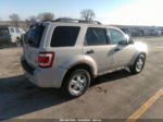 2009 Ford Escape Xlt Cream vin: 1FMCU93G59KB54022