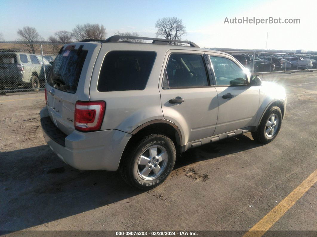 2009 Ford Escape Xlt Кремовый vin: 1FMCU93G59KB54022