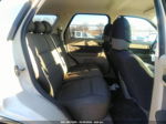 2009 Ford Escape Xlt Кремовый vin: 1FMCU93G59KB54022