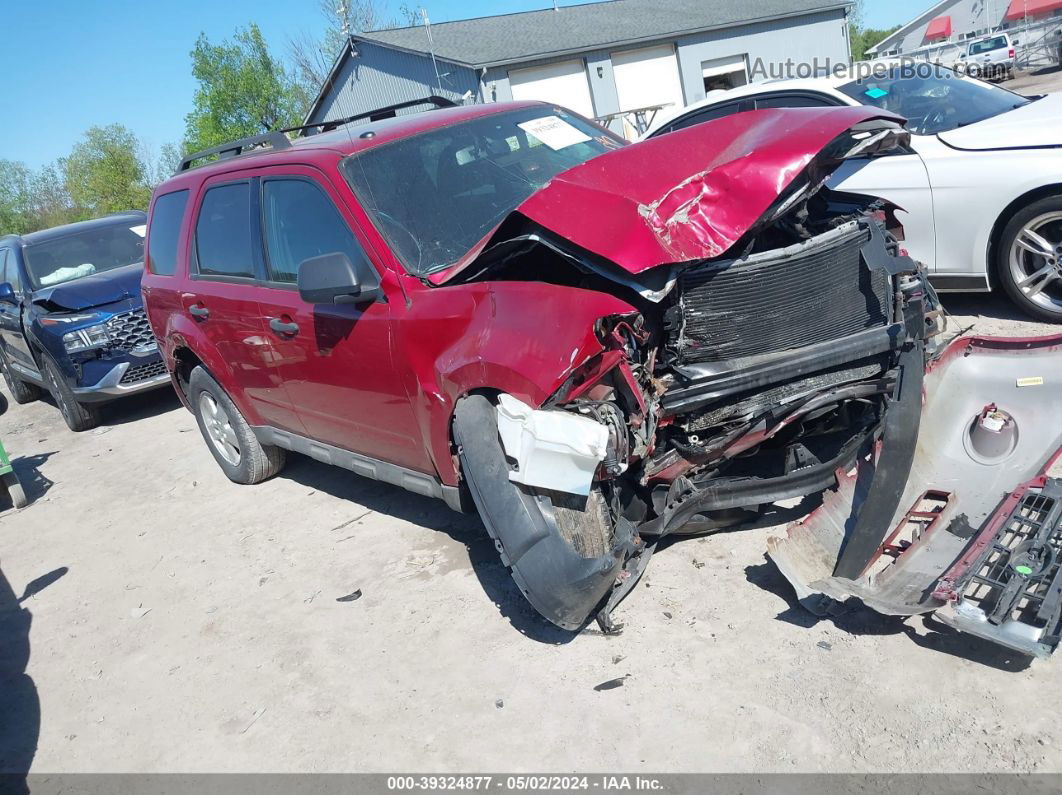 2009 Ford Escape Xlt Красный vin: 1FMCU93G59KC11903