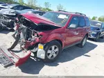 2009 Ford Escape Xlt Красный vin: 1FMCU93G59KC11903