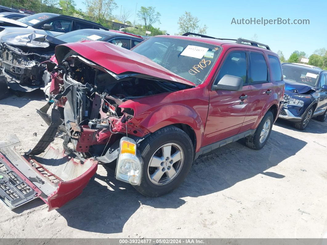 2009 Ford Escape Xlt Красный vin: 1FMCU93G59KC11903