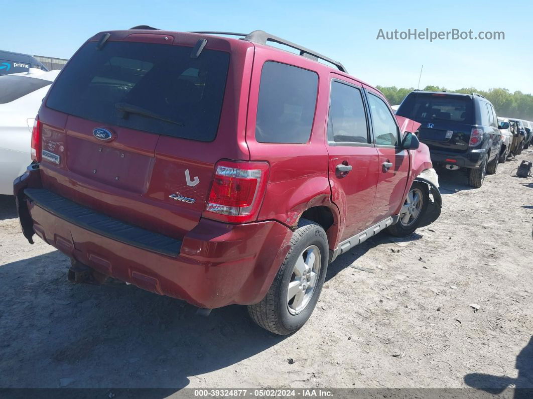 2009 Ford Escape Xlt Красный vin: 1FMCU93G59KC11903