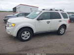 2009 Ford Escape Xlt White vin: 1FMCU93G59KC21167