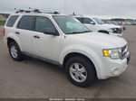 2009 Ford Escape Xlt White vin: 1FMCU93G59KC21167