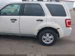 2009 Ford Escape Xlt White vin: 1FMCU93G59KC21167