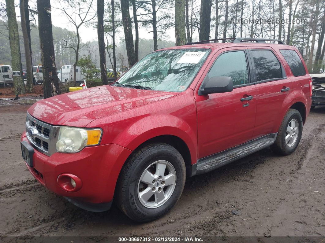 2009 Ford Escape Xlt Красный vin: 1FMCU93G59KC79912