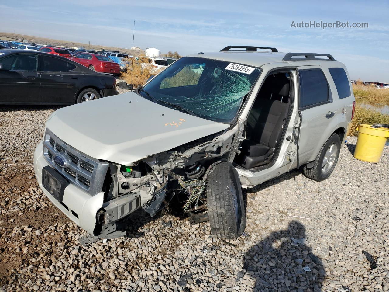 2009 Ford Escape Xlt Beige vin: 1FMCU93G69KA18031