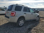 2009 Ford Escape Xlt Beige vin: 1FMCU93G69KA18031