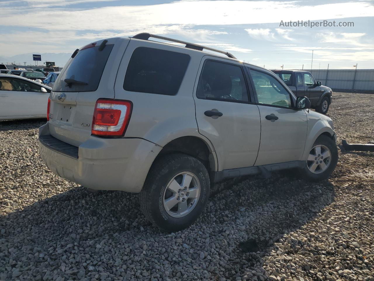 2009 Ford Escape Xlt Beige vin: 1FMCU93G69KA18031