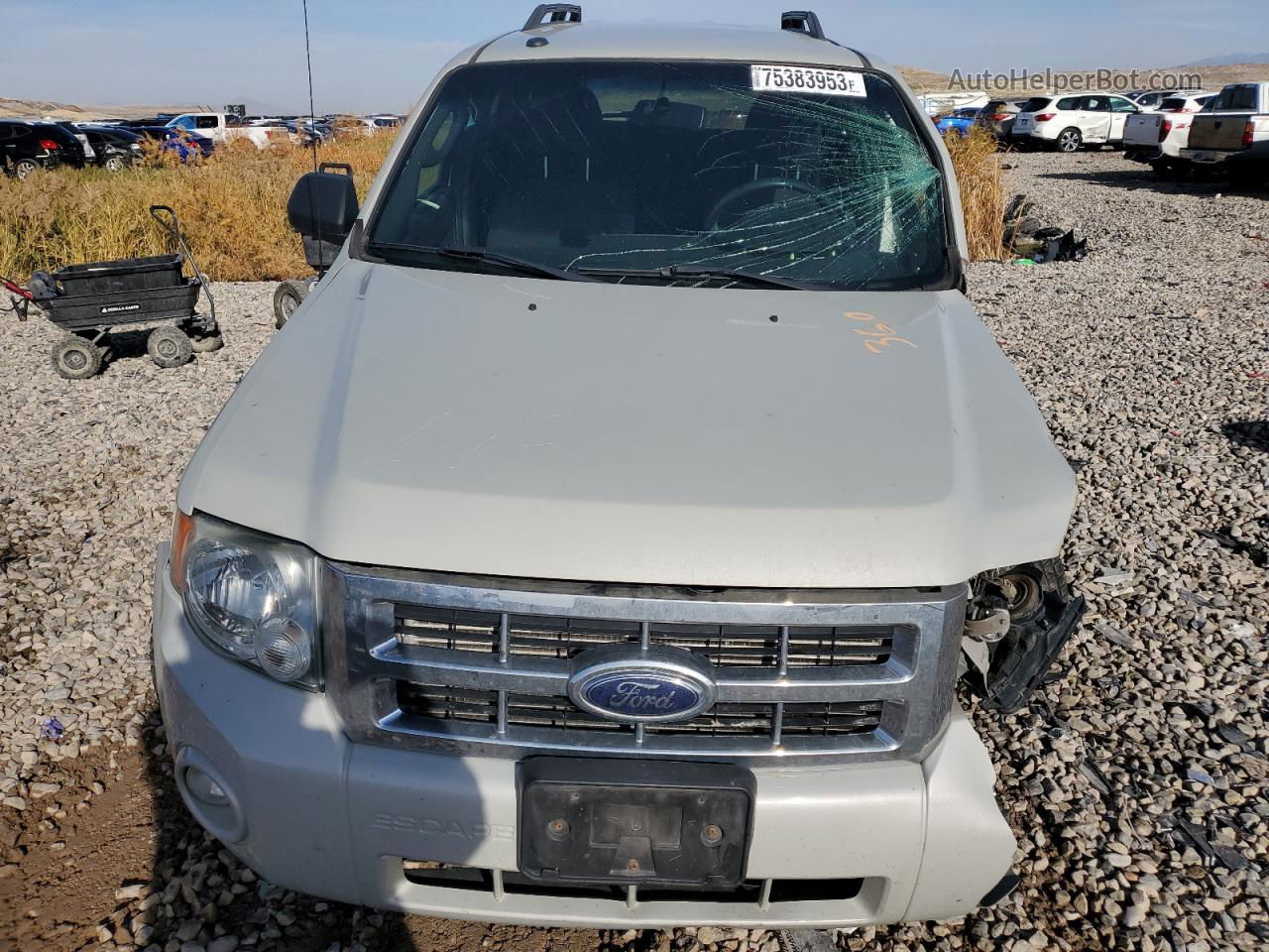 2009 Ford Escape Xlt Beige vin: 1FMCU93G69KA18031