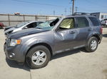 2009 Ford Escape Xlt Gray vin: 1FMCU93G69KA65933