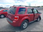 2009 Ford Escape Xlt Красный vin: 1FMCU93G69KA82151