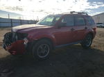 2009 Ford Escape Xlt Red vin: 1FMCU93G69KA93621