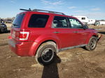 2009 Ford Escape Xlt Red vin: 1FMCU93G69KA93621