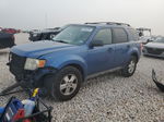 2009 Ford Escape Xlt Blue vin: 1FMCU93G69KB03970