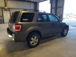 2009 Ford Escape Xlt Gray vin: 1FMCU93G69KB78667