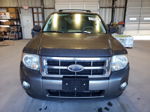 2009 Ford Escape Xlt Gray vin: 1FMCU93G69KB78667