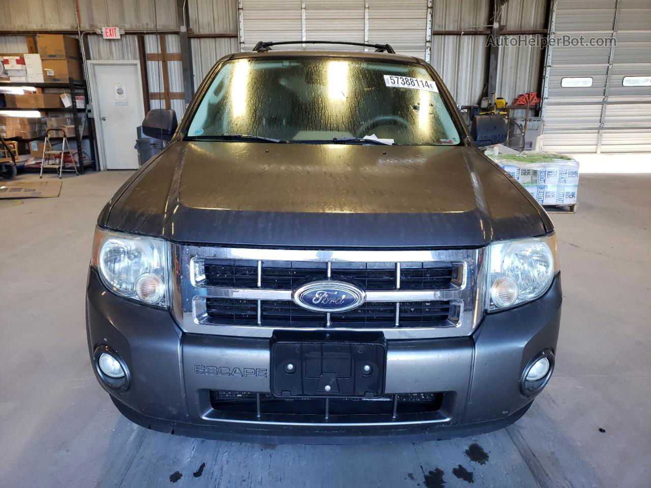 2009 Ford Escape Xlt Gray vin: 1FMCU93G69KB78667