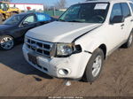 2009 Ford Escape Xlt White vin: 1FMCU93G69KB79771