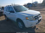 2009 Ford Escape Xlt White vin: 1FMCU93G69KB79771