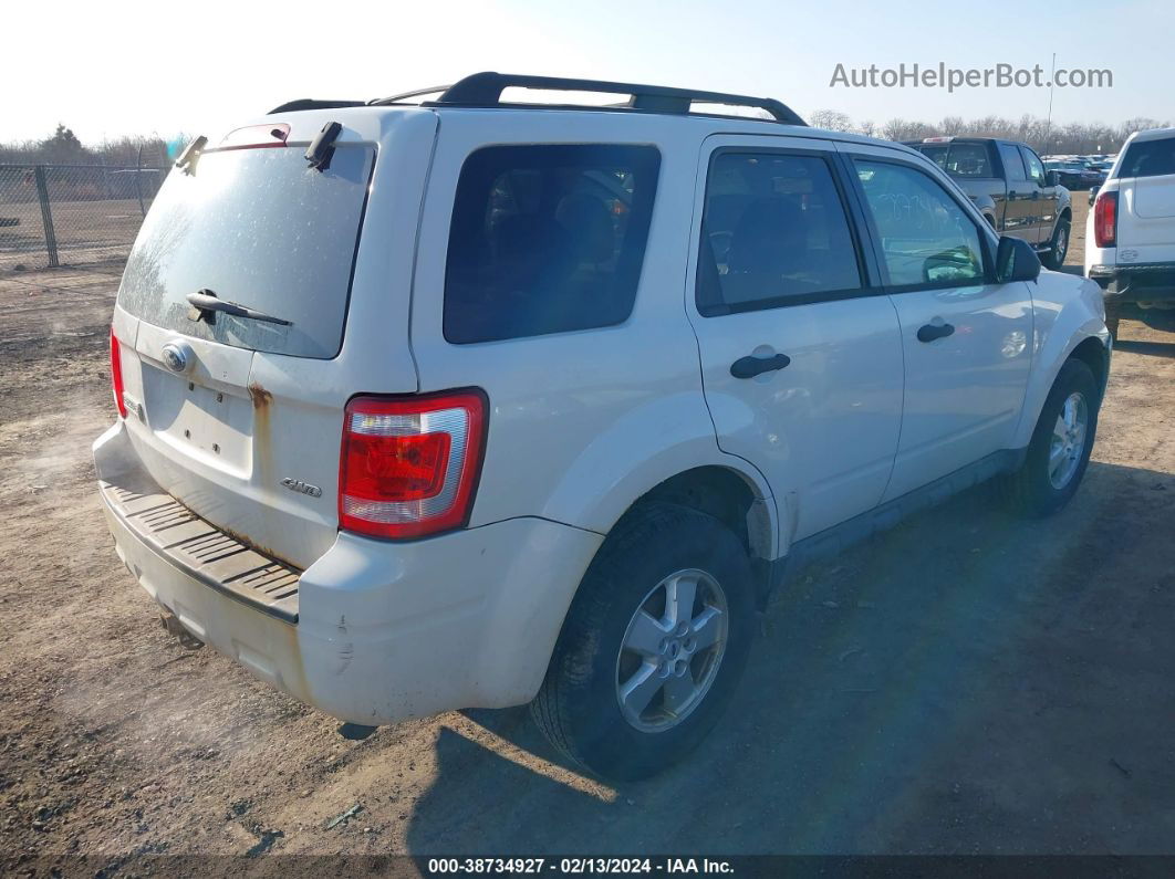 2009 Ford Escape Xlt White vin: 1FMCU93G69KB79771