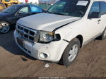 2009 Ford Escape Xlt White vin: 1FMCU93G69KB79771