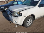 2009 Ford Escape Xlt Белый vin: 1FMCU93G69KB79771