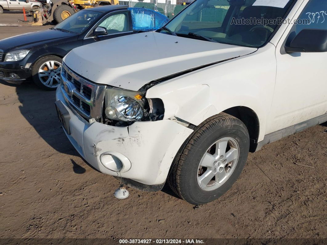 2009 Ford Escape Xlt White vin: 1FMCU93G69KB79771