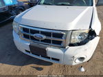 2009 Ford Escape Xlt White vin: 1FMCU93G69KB79771