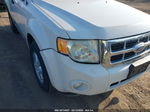 2009 Ford Escape Xlt White vin: 1FMCU93G69KB79771