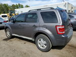 2009 Ford Escape Xlt Серый vin: 1FMCU93G69KC19556